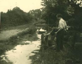 1954 2