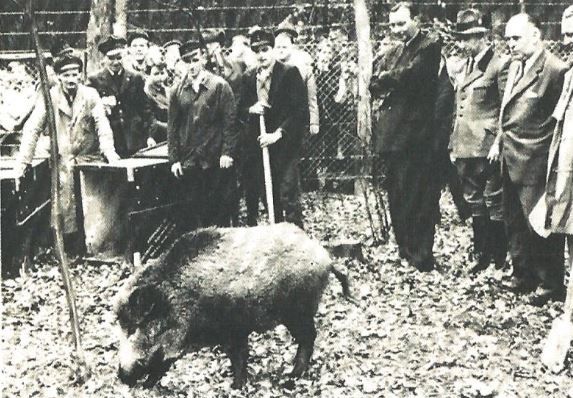 Eröffnung Dünnwalder Wildpark