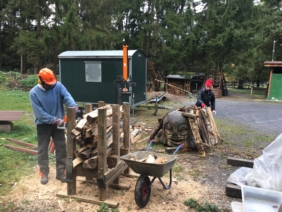 HT19 Holz 01k