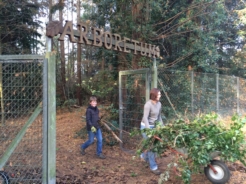 Helfertag 15 01